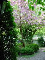 Uitzicht vanuit de voordeur